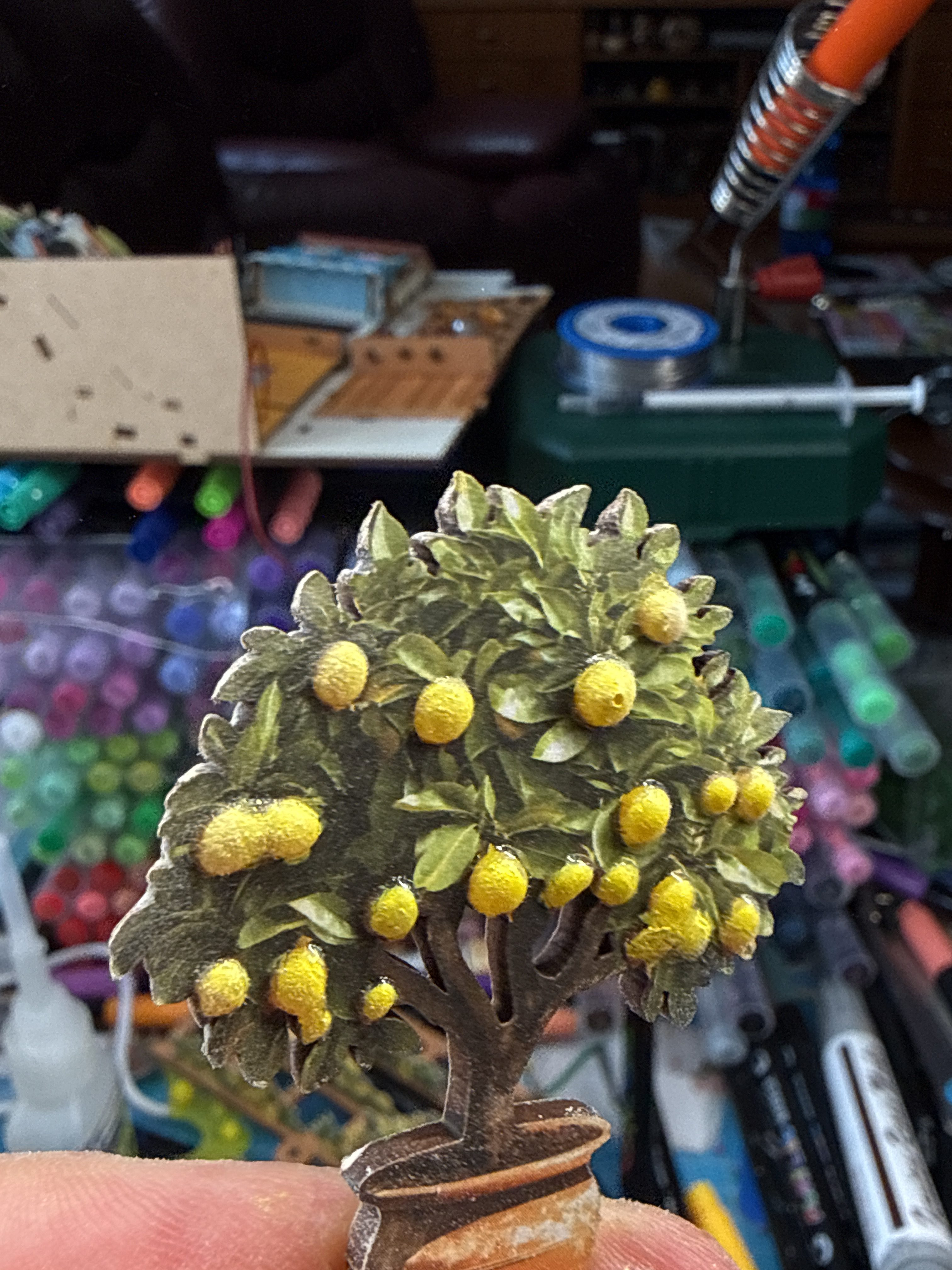 Best Practice Sharing: Enhancing the Lemon Trees in Sunset Isle